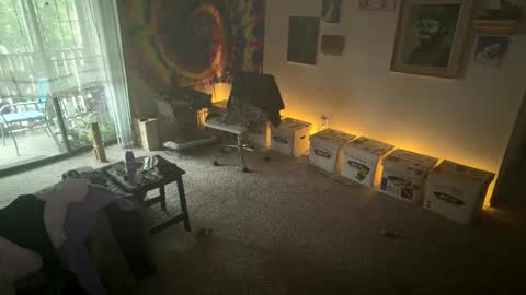 Chase2Attract online show from July 2026 07:30:01 PM