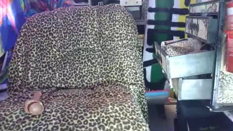 Sah009XXX online show from March 2026 09:50:01 AM