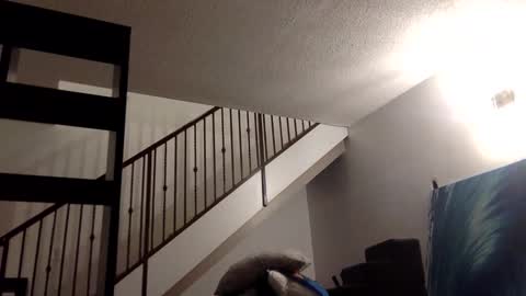 chavesmafxus online show from May 2026 06:29:02 AM
