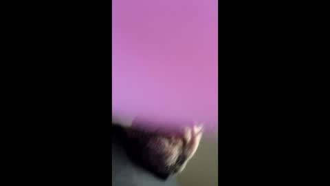 chef4u13 online show from April 2026 09:01:02 AM