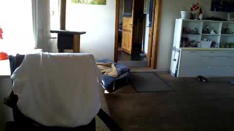 chefben666 online show from April 2026 09:24:02 AM