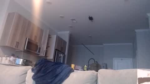 Snapshot of chefdev chatting on November 2025 03:45:01 PM Chef Dev XXX online show from November 2025 03:45:01 PM