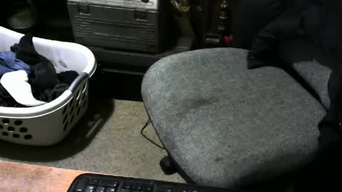 chefy online show from February 2025 11:40:02 AM