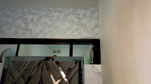   online show from April 2026 02:40:02 AM