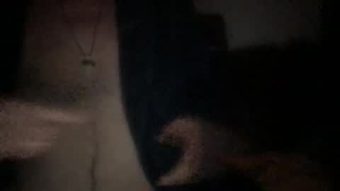 Snapshot of chevalier202 chatting on June 2026 10:26:01 PM chevalier202 online show from June 2026 10:26:01 PM