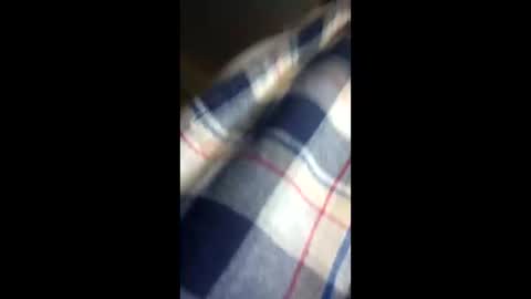 Snapshot of chi579822 chatting on March 2026 04:29:01 AM chi579822 online show from March 2026 04:29:01 AM