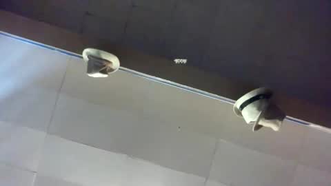 chi579822 online show from May 2026 11:10:02 PM