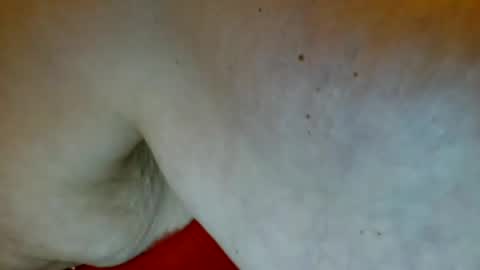 Tee online show from December 2024 12:58:02 PM