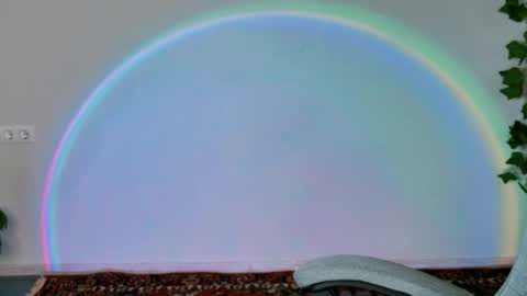 Bella online show from February 2026 09:14:02 AM