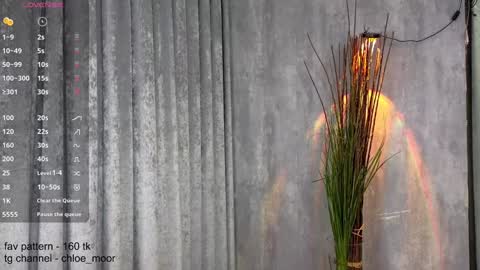 Chloe online show from December 2024 09:00:02 PM