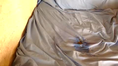 Snapshot of chpoor chatting on February 2025 03:04:02 PM davenz online show from February 2025 03:04:02 PM