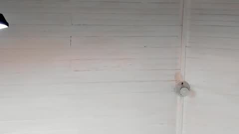 Chriz online show from December 2024 05:37:01 AM