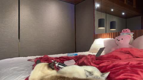 Christina Sage online show from September 2025 04:03:01 AM