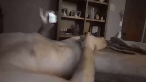 chrisw8121 online show from February 2026 06:40:02 AM