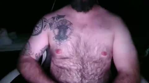 chub bear 99 online show from April 2026 02:51:02 AM