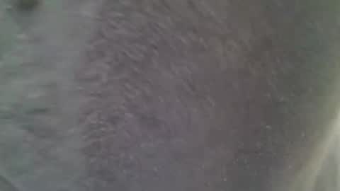 Snapshot of chubbycub14 chatting on February 2026 03:38:01 PM chubbycub14 online show from February 2026 03:38:01 PM