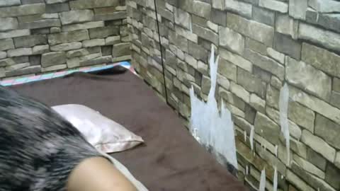 Snapshot of chubbylove_123 chatting on May 2026 07:49:01 AM chubbylove_123 online show from May 2026 07:49:01 AM