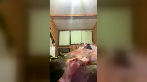 chzljqzbysno online show from January 2026 12:22:02 PM