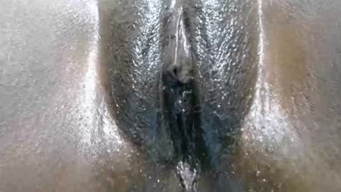 ciarabooty online show from May 2026 07:54:02 PM