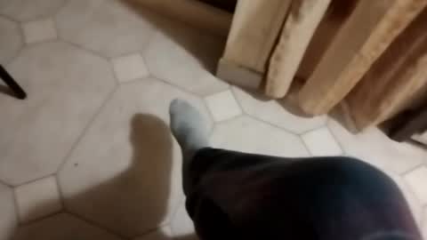 ciccilli online show from October 2025 09:49:02 PM