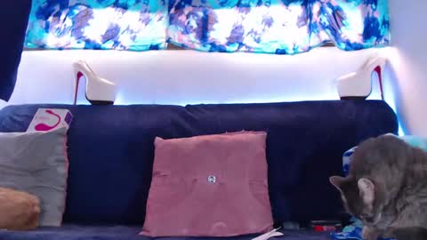 cicimom online show from February 2025 05:20:01 PM