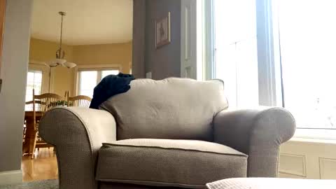 cinapw online show from December 2024 03:53:01 PM