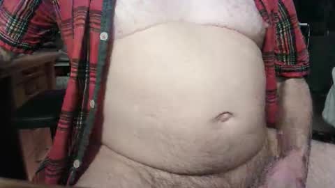 Circus Bear online show from October 2025 05:30:01 AM