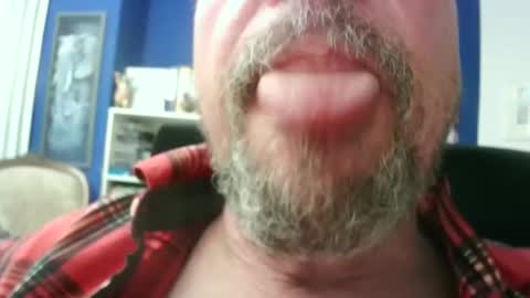 Circus Bear online show from February 2026 04:29:01 PM