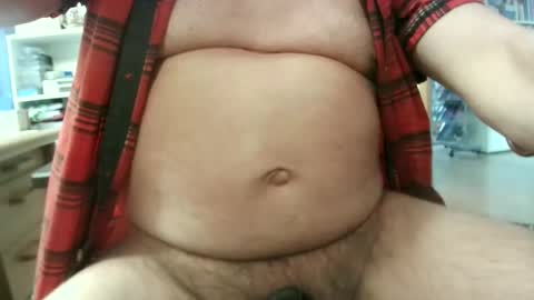 Circus Bear online show from March 2026 04:23:01 PM