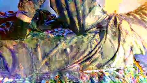 dan online show from March 2025 07:27:02 AM