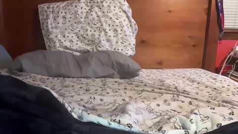 cjallday1424 online show from March 2025 03:41:01 AM