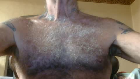 Pizza online show from July 2026 08:50:01 AM