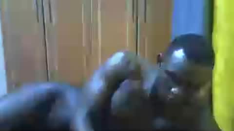 Snapshot of clive_damian chatting on July 2026 05:56:02 PM clive_damian online show from July 2026 05:56:02 PM