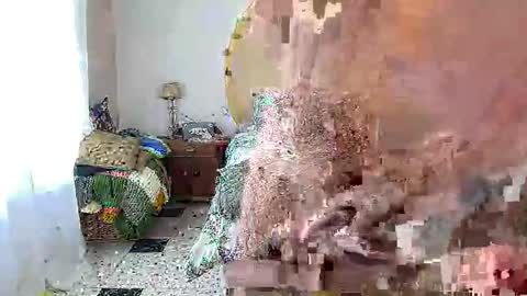 Snapshot of cmapetitebite chatting on February 2026 12:09:02 PM cmapetitebite online show from February 2026 12:09:02 PM