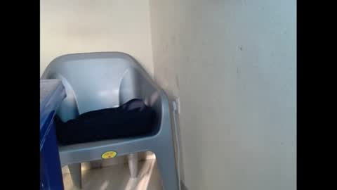 cockfanx online show from January 2025 07:42:02 AM