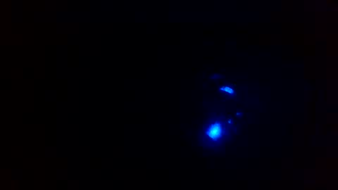 cocksmithog online show from December 2024 05:43:01 PM