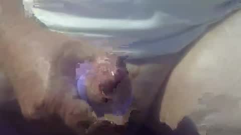 cocktoys online show from March 2026 08:25:01 PM