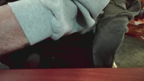 cody81421 online show from January 2025 05:47:02 PM