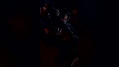 codyonit888 online show from January 2026 01:27:02 PM