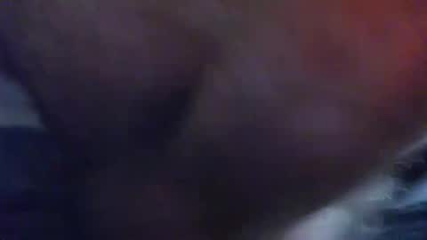 comox online show from December 2024 12:19:01 AM