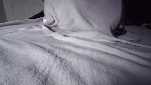 completomuscular online show from October 2025 07:09:02 PM