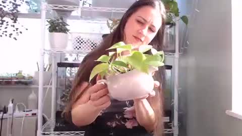 ANR Mommy online show from October 2025 04:27:01 PM