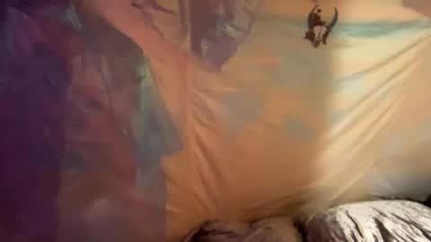 Snapshot of coochiechakrahealer chatting on December 2024 09:48:02 AM coochiechakrahealer online show from December 2024 09:48:02 AM