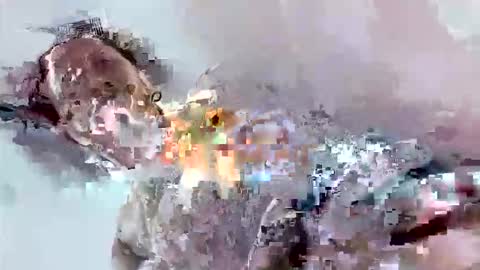 Snapshot of cook135710 chatting on November 2025 07:08:02 PM Mount N Drew online show from November 2025 07:08:02 PM