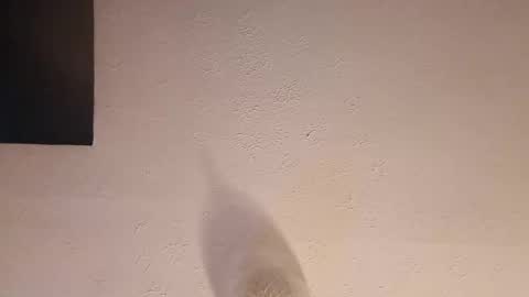 cooper_120805 online show from September 2025 02:47:02 AM