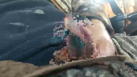 cornfed15c online show from November 2025 02:28:01 PM