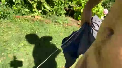 Snapshot of countrymilk chatting on January 2025 02:25:01 PM Countrydilf online show from January 2025 02:25:01 PM