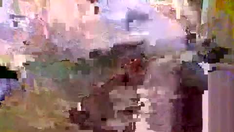 countrymommy online show from November 2025 06:01:01 AM