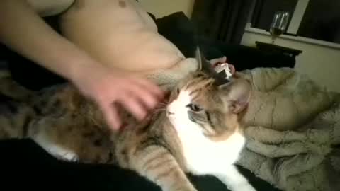 Snapshot of coupleorsexy chatting on September 2025 09:52:02 PM coupleorsexy online show from September 2025 09:52:02 PM