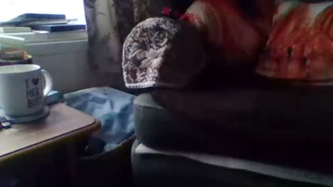 courieral1 online show from February 2025 08:00:02 AM